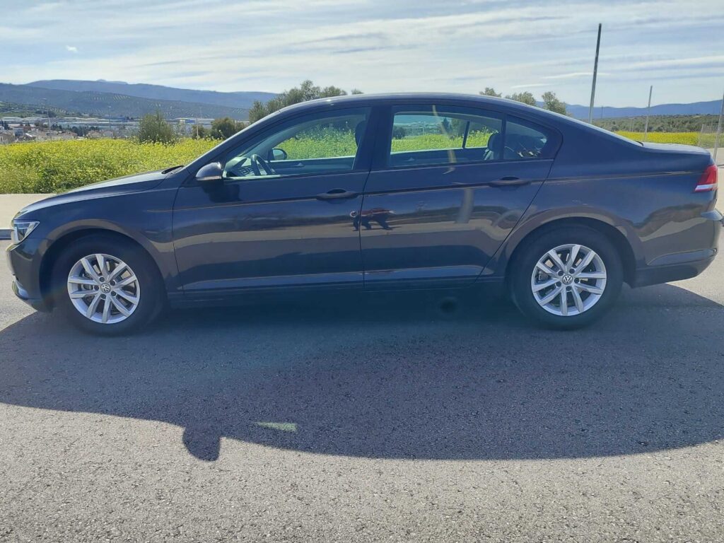 Volkswagen Passat usado en Jaén